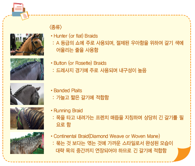 말 미용의 종류에 대한 설명으로 상세내용 하단 참고