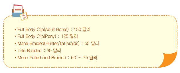 말 미용 종류별 가격으로 상세내용 하단 참고