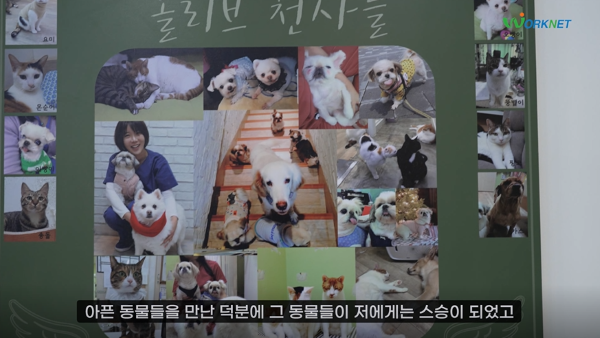 올리브 동물병원에서 치료 받은 동물들